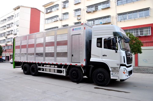 滁州運(yùn)輸 秦皇島生豬運(yùn)輸車(chē)專(zhuān)業(yè)廠家選擇指南