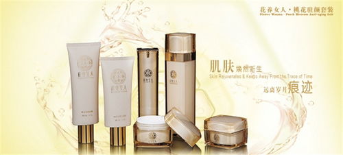 大真堂化妝品線上化之路 產(chǎn)品展示與店鋪裝修的計(jì)算機(jī)網(wǎng)絡(luò)技術(shù)開發(fā)