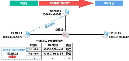 計(jì)算機(jī)網(wǎng)絡(luò)第四層 網(wǎng)絡(luò)層技術(shù)開發(fā)與應(yīng)用